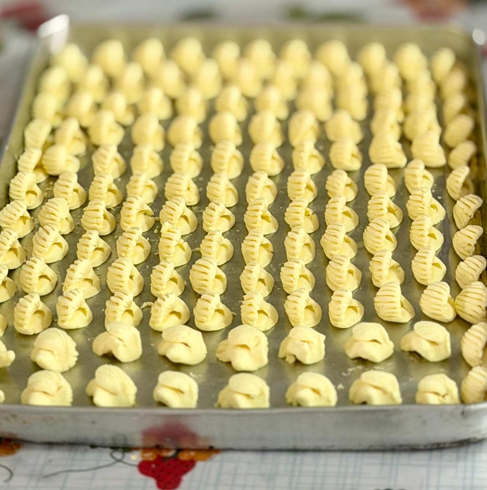 Sabores do Litoral - 1