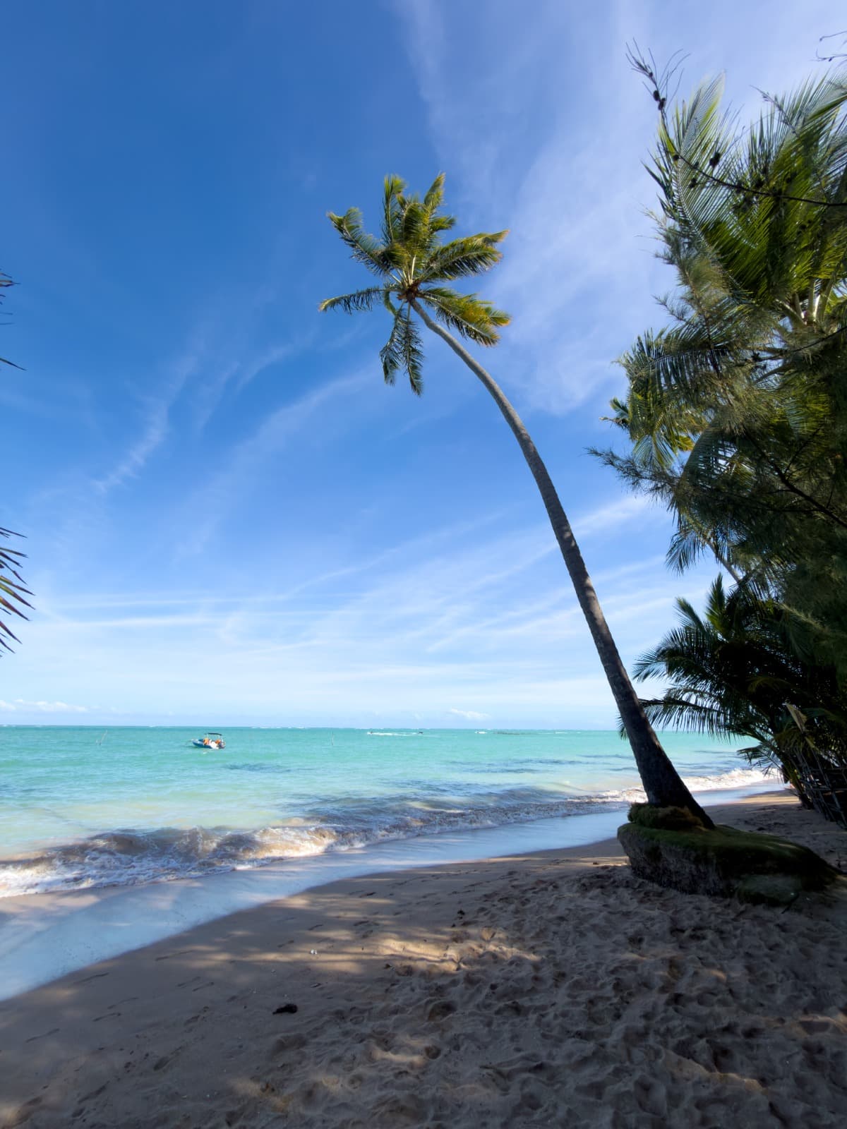 Praias de Maragogi - 5