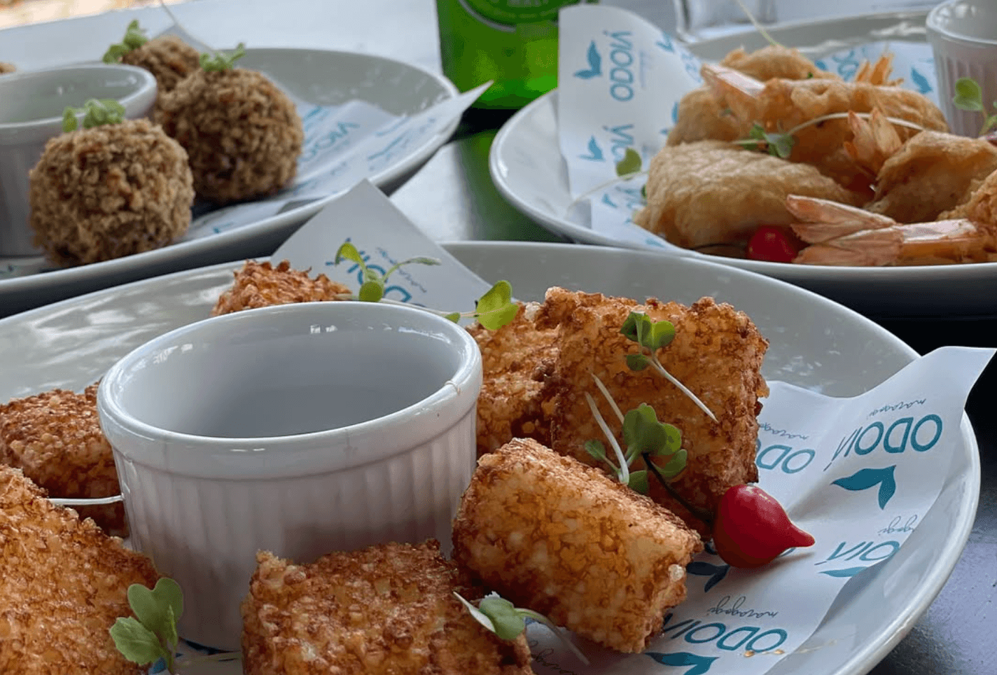 Sabores do Litoral - 3